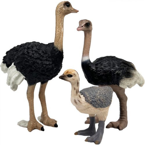 Gemini&Genius Ostrich Animal Action Figure Toys, Ostrich Animal Figurines Jungle Animal Playset Gift, Educational, Cake Toppers, Party Supplies, Animal Toy Set for Kids Ages 3+