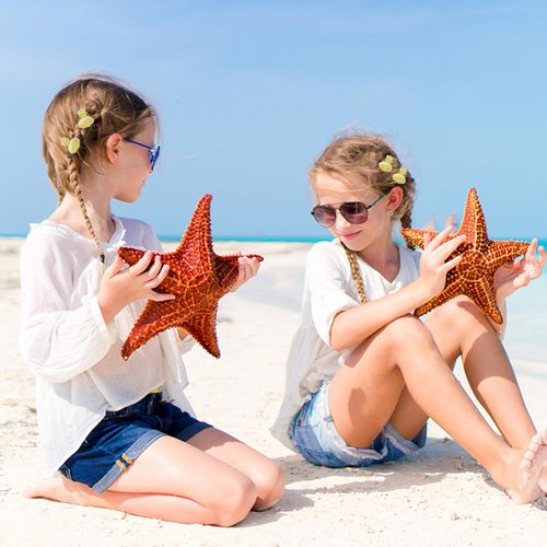 ACO-UINT 12 Pcs Shell Hair Clips for Women Girls, Gold Small Hair Claw Clips Sturdy Mini Metal Clips, Cute Clips for Hair Mermaid Costume Hair Accessories for Women and Girls