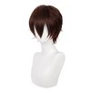 Swiking Mens Short Brown Wigs Women Fluffy Curly Hair Anime Cosplay Party Daily Costume Pixie Women Wig Unisex Full Wig(Brown)