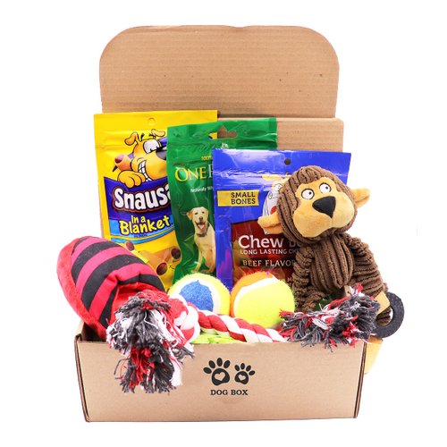Fansco Dog Gift Box Set with Pet Toys Treats Snacks
