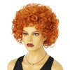 HUNIGIR Orange Curly Wig Women Short Afro Wig 70s Orange Wig for Unisex Adult Heat Resistant Synthetic Cosplay Halloween Costume Wig (Orange)