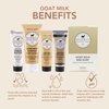 Dionis Goat Milk Skincare Vanilla Bean 6 Piece Self Care Essentials Travel Set - Bar Soap, Shave Butter, Hand Cream, Body Lotion & Whipped Sugar Body Scrub In Resealable Leak Resistant Carrying Case