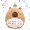 TITQWOP Happy Birthday Capybara Plush Pillow 14" Capybara Stuffed Animals Capybara Plush Birthday Gift for Kids Boys Girls