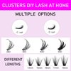 HAMJOYS Lashes Clusters 40D 0.07 C Curl Cluster Lashes Extension Individual Lashes 14-18mm Tray Faux Mink Lash Clusters Extensions Individual Lashes lashes wispy DIY Eyelash (40D-0.07C-14-18mm)