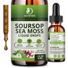 LUCNVEM (2 Pack) Organic Soursop Graviola with Sea Moss Liquid Drops, Soursop Bitters Liquid Rich in Multivitamin for Natural Antioxidant, Immune Boost, Cell Support & Regeneration, Pineapple Flavor
