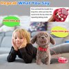 Walking Barking Dog Toy Singing Puppy Set, Repeat What You Say Teddy with Control Leash Electronic Dog, Touch or Voice Control Realistic Robot Musical Dancing Animated Plush Pet for Toddler