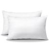 OTOSTAR Pack of 2 Throw Pillow Inserts, 12 x 20 Cushion Inner Soft Fluffy Plump Stuffer Cushion Pads White Decorative Pillow Inserts