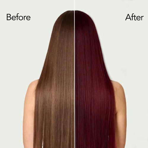 Dark Wine Red Hair Dye, Hair Dye SHampoo, Burgundy Hair Dye, Argan Oil Red Hair Shampoo for Men & Women, 3 in 1 Hair Dye Shampoo 16.9 Floz, Easy to Use, Shampoo Para Canas (Dark wine red)