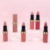 6 Pcs Brown Nude Pink Purple Red Lipstick Matte Sets,Light to Dark Velvet Lipstick for Women Long Lasting Waterproof 24 Hours Lip Stick Lip Stain Makeup Gift Sets,labiales mate 24 horas originales
