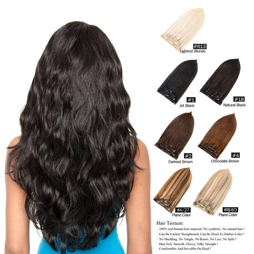 GEELOOK Clip in Hair Extensions Real Human Hair 20 Inch Chocolate Brown/Light Blonde #4/27 Color Double Weft 100% Remy Human Hair Thick Long Soft Silky Straight 4pcs 10clips for Women 70grams