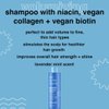 b.fresh Volumizing Shampoo | Turn Up The Volume - Add Volume to Fine, Thin Hair Types, Packed with Niacin, Plant Proteins, and Biotin for Growth, 12 Fl Oz
