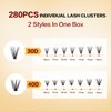 DIY Lash Extension Kit 280pcs Lash Clusters Kit 30D+40D Individual Lashes 10-16mm Lash Clusters Kit Lash Bond and Seal Cluster Lashes Glue Remover Lash Tweezer