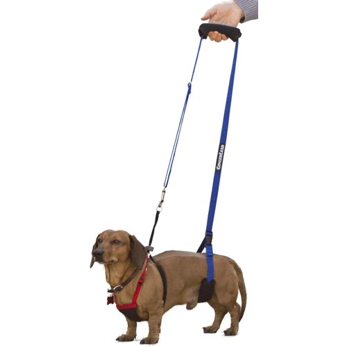 GingerLead Dog Sling Hip Support Harness, X-Small Fits Little Pets Under 25 lbs and Dachshunds with IVDD, Spinal Disc Disease, or Back Injuries. Assist Elderly, Paralyzed, or Recovering Pets.