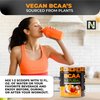 Nutrology BCAA Natural, Plant Based BCAA Powder, Orange Coconut Flavor, Optimized 2:1:1 Ratio Amino Acids Powder, Post Workout Recovery Drink Vegan BCAA Powder, Gluten-Free, Non-GMO, 30 Servings