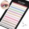 12Rows 240Pcs 10D Colorful Individual Premade Fans False Eyelashes Mixed 12 Colors Volume Eye Lashes Extensions Makeup Cluster Eyelashes 8/10/12/13/14/15/16mm Available (13MM)