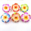 5Pcs Random 5cm Artificial Hawaiian Plumeria Flower Hair Clips Hair Accessories for Beach Fancy Dress Clips Clips and Barrettes Hair Accessories