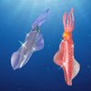 Gemini&Genius 2Pcs Squids Toys, Marine Bioluminescent Animals Cuttlefishes Toys Sea Animal Action Figures Gift Great for Educational, Cake Topper, Swim, Bath Toys, Stocking Stuffers for Kids