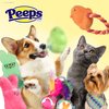 Peeps for Pets Plush Chick Rope Pull Toy for Dogs Squeaker Dog Toy, Pink/Purple | Adorable and Cute Dog Chew Toy | Squeaky Dog Toy to Add to Dog Toy Bin 6 Inch