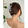 LILIE&WHITE Silver Hair Clips For Women Summer Hair Clip With Claw Acrylic Clips For Hair Pretty Claw Clips For Thin Hair Women Non Slip Strong Hair Clamps Accessories Present