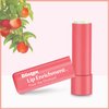 Blistex Lip Enrichment Lip Moisturizer