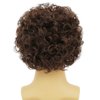 Amnenl Mens Afro Brown Short Wigs 70s 80s Rocker Curly Wig Kinky Synthetic Wigs for Cosplay Halloween Wig(Dark Brown)