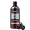 Kundal BLACKBERRY BAY Sulfate Free Moisturizing Shampoo for Dry Damaged Hair with Argan Oil, 16.9 oz(500ml), Sulfate Free Paraben Free