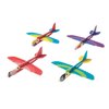 Fun Express Tropical Birds Glider Toys, Bulk 24 Pack - Party Favors and Handouts - VBS Vacation Bible School Supplies/Decor