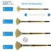 ZEM BRUSH White Hog Bristle Stiff Fan Brush Set Size 2,4,6,8