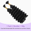 20 Inch Human Braiding Hair for Boho Braids 100g/pack 2 Bundles Deep Wave Bulk Human Hair Braiding No Weft Micro Braiding Hair Human Hair Extensions