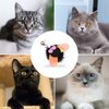 Selxran 6 PCS Cat Toy Refills Retractable Wand Toy Cat Feather Toy for Indoor Cats to Chase and Exercise