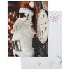 Avanti Press Christmas Cards, Santa Cat with Cookies, Count of 10 (703952)