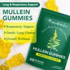 Mullein Gummies for Lungs, 2000mg Mullein Leaf Herb Extract, Organic Mulleins Gummies for Lung Cleanse, Support Respiratory Digestive Immune System, 60pcs