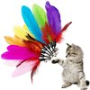 CATENEED Cat Feather Toys Refill Cat Wand Replacement Feathers, 16 PCS Cat Toy Feather Refills, Cat Wand Attachments Feathers for Cat Toys