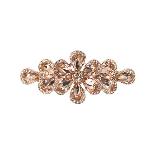 Faship Gorgeous Champagne Rhinestone Crystal Floral Hair Barrette Clip