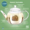 Stovetop & Microwave Safe Teapot (40 oz) with Removable Loose Tea Infuser - Includes 2 Blooming Teas - 2-in-1 Kettle and Tea Maker