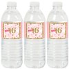 Big Dot of Happiness Sweet 16-16th Birthday Party Water Bottle Sticker Labels - Set of 20