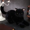 Sosation 16 Inch Black Cat Stuffed Animal Plush, Realistic Black Cat Toy Soft Plush Pillow, Cute Plush Toy Gifts for Kids, Birthday Christmas Decoration Supplies