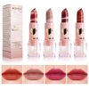 BEUKING Marble Matte Lipstick, Velvet Silk Lip Gloss, Nude Highly Pigmented Long Lasting, Hydrating Non-Sticky, Full Coverage Lightweight, Waterproof Lip Contouring Cosmetic (2# ROMANCE, 0.11 OZ)