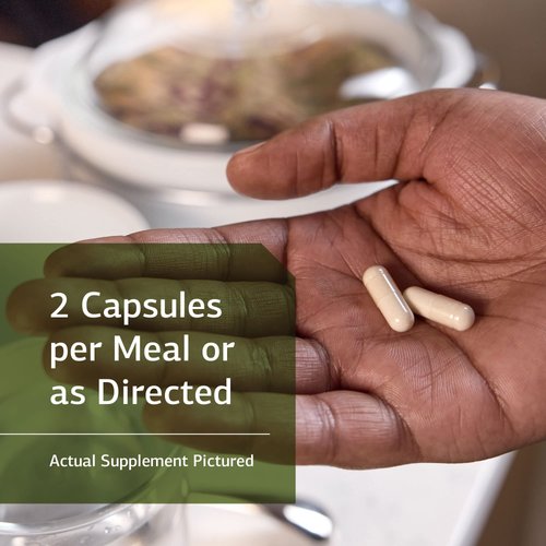 Standard Process Lact-ENZ - Whole Food Immune Support, Digestion and Digestive Health with Bifidobacterium Longum, Cellulase, Protease, Amylase, Lipase, Maltodextrin and More - 150 Capsules