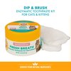 Arm & Hammer Dip & Brush Fresh Breath Enzymatic Toothpaste Kit for Cats and Kittens with 2 Microfiber Finger Bushes, 2.5 Ounces, Tuna Flavor | Cat Dental Care Kit