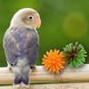 Mandarin Bird Toys by M&M 2142 Pk24 Rainbow Spike Balls - Classic Rubber Bird Foot Toys, Soft Spikes, Lighweight, Fun to Grab, Small Pets Budgie Cockatiel Lovebird Parrotlet