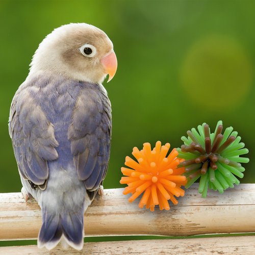Mandarin Bird Toys by M&M 2142 Pk24 Rainbow Spike Balls - Classic Rubber Bird Foot Toys, Soft Spikes, Lighweight, Fun to Grab, Small Pets Budgie Cockatiel Lovebird Parrotlet