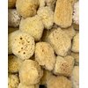 Awesome Aquatics Natural Sea Sponge 5-6" Amazing Natural Renewable Resource"Creating The in Home Perfect Bath and Shower Experience" Artist Sponge