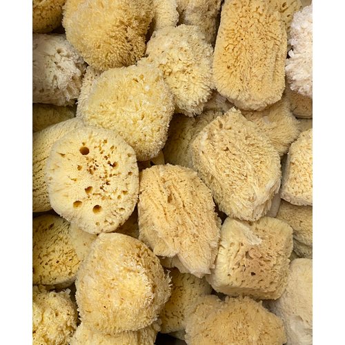 Awesome Aquatics Natural Sea Sponge 5-6" Amazing Natural Renewable Resource"Creating The in Home Perfect Bath and Shower Experience" Artist Sponge