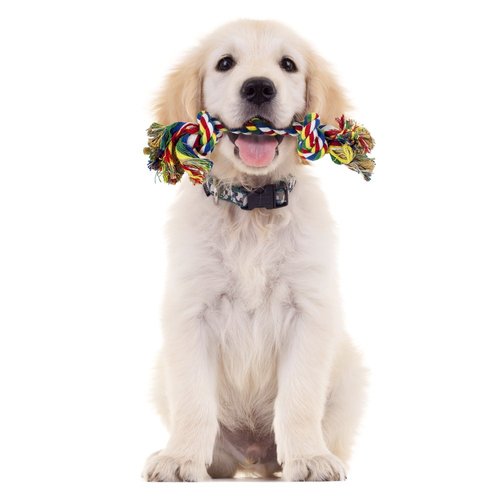 Weebo Pets Cotton Flossin' Rope Bone Dog Toy 10 x 2 x 2