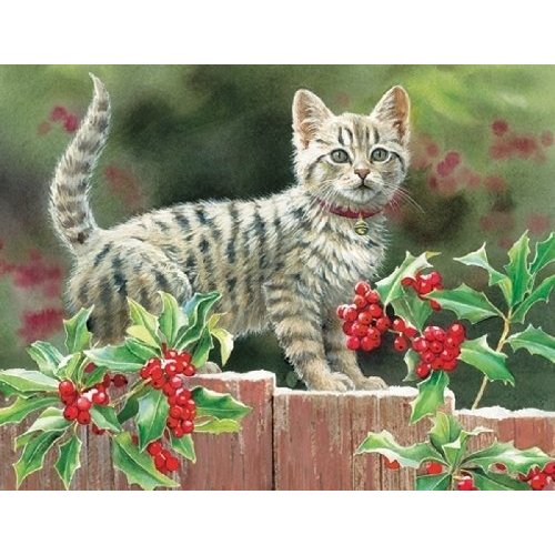 Kitten and Holly Susan Bourdet Christmas Cards (1004489)
