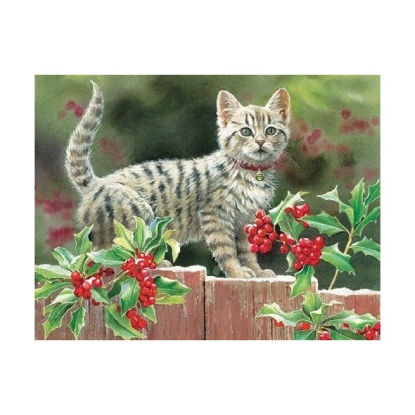 Kitten and Holly Susan Bourdet Christmas Cards (1004489)