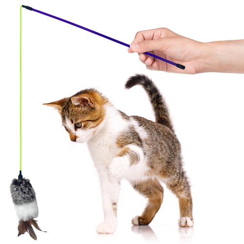 Interactive Cat Toy. Cat Toy with Vibrant Blue-Violet Wand. Cat Wand Toy. Kitten Toys. Cat Toys for Indoor Cats. Feather Cat Toy. Kitten Toys for Indoor Kittens. Cat Feather Toy.