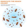 Sumkat Roach Attractant Gel, 1.06 oz Easy-Apply Syringe, Effective Indoor Roach Solution for German, American & Oriental Roaches, Long-Lasting Gel for Home & Kitchen Use