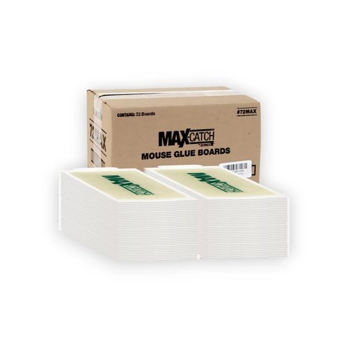 Pest Glue Trap by Catchmaster - 36 Boards Pre-Baited, Ready to Use Indoors. Rodent Mouse Rat Insect Sticky Adhesive Simple Easy Simple Non-Toxic - Made in the USA